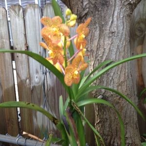 Meet your Posher, Steven